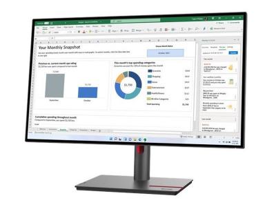 27" Lenovo ThinkVision P27h-30  Class WQHD LCD Monitor - 63A1ZAR1US
